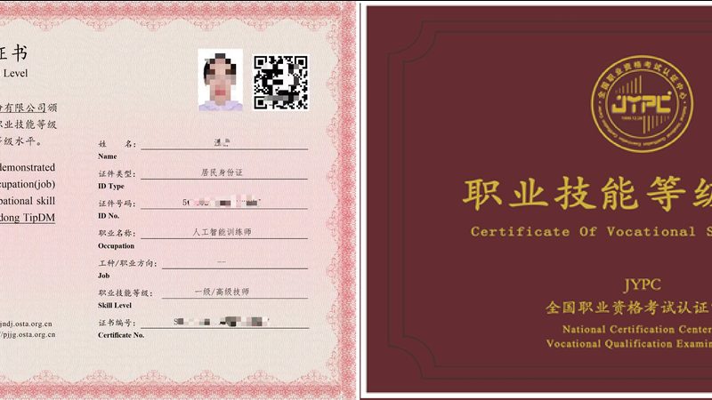 成都AI应用开发报价，到底差在哪